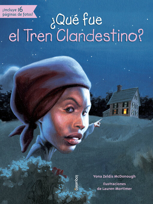Cover image for ¿Qué fue el Tren Clandestino?